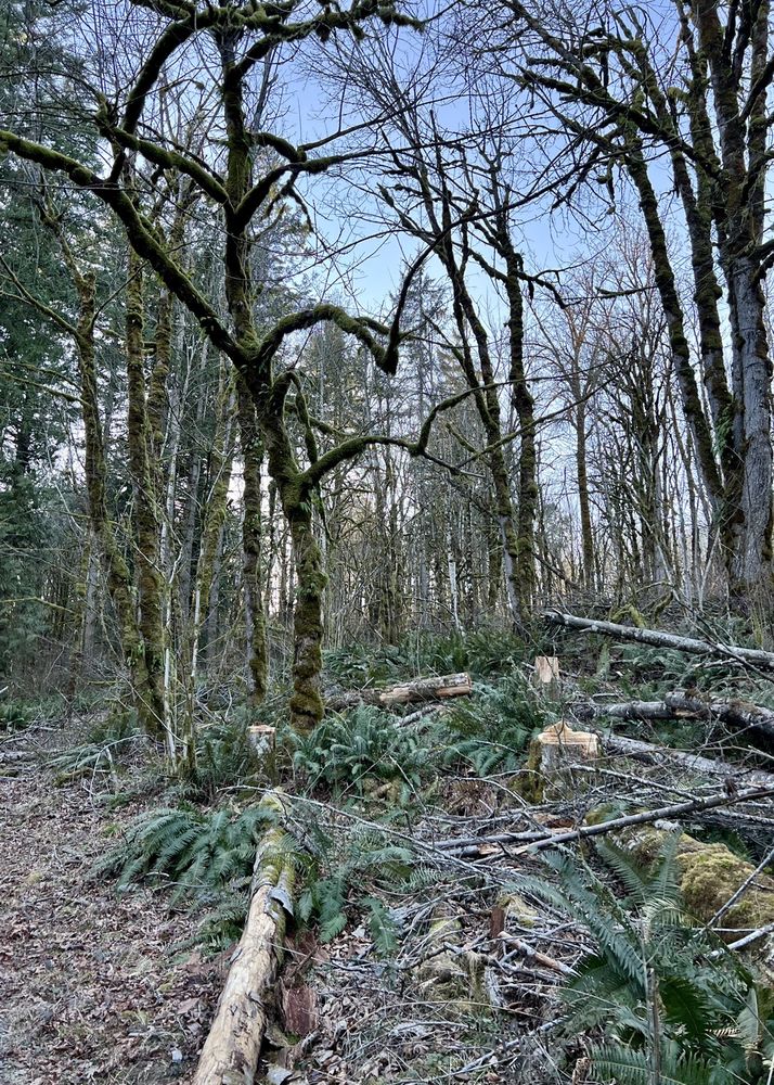 NEWELL CREEK CANYON NATURE PARK Updated May 2024 485 Warner Milne