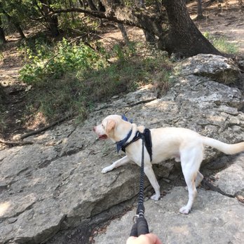 OP Schnabel Park - Dog , trail, trees, hike, nature San Antonio - Parks Near Me - San Antonio, Texas OP Schnabel Park - Dog , trail, trees, hike, nature San Antonio - Parks Near Me - San Antonio, Texas