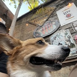 Round Up Saloon - Happy pup