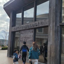 Anthropologie