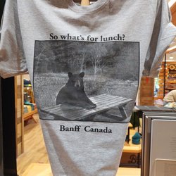 Big Bear Trading Company