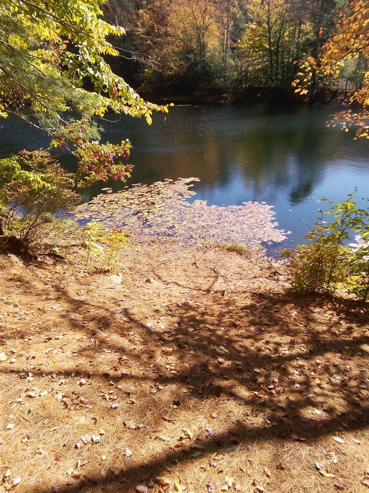 KEYSTONE PEST CONTROL Updated September 2024 10 Photos Reading