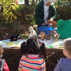 Lily Pad Early Learning Center - Animal education