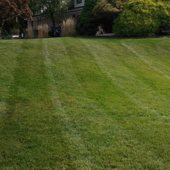 H Omar Pro Landscaping - Gardeners Near Me H Omar Pro Landscaping - Gardeners Near Me