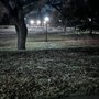 Photo of Turner Park