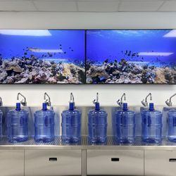 Water Station