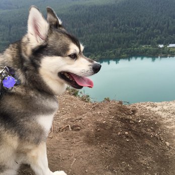 Rattlesnake Ridge - Hiking Near Me