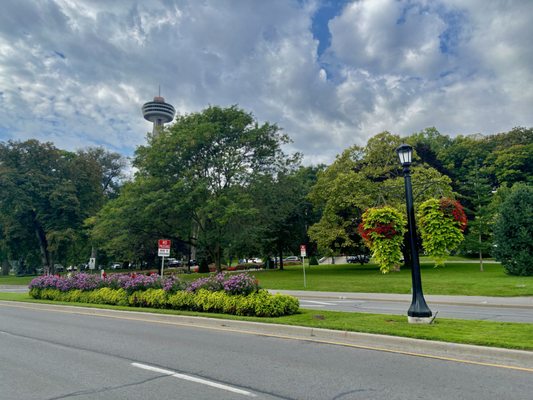 Queen Victoria Park by null