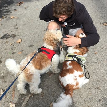 Sit Stay Play - Penny & Brady love Tyler time! - Dog Walkers Near Me - Santa Monica, California Sit Stay Play - Penny & Brady love Tyler time! - Dog Walkers Near Me - Santa Monica, California