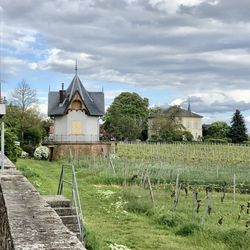 Daubhäuschen