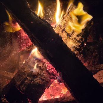 Zevs Firewood Service: Premium Quality Delivered Fast