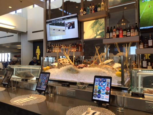Surf Bar Oases by null