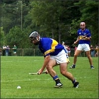 Irish Cultural Center by null