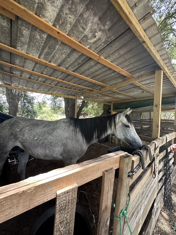 A Place For Dreamers Logo