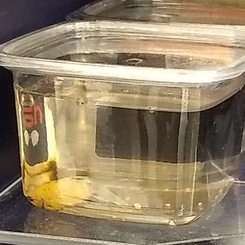 Meijer - Bottom left, dead Betta fish? - Grocery Near Me - Flossmoor, Illinois