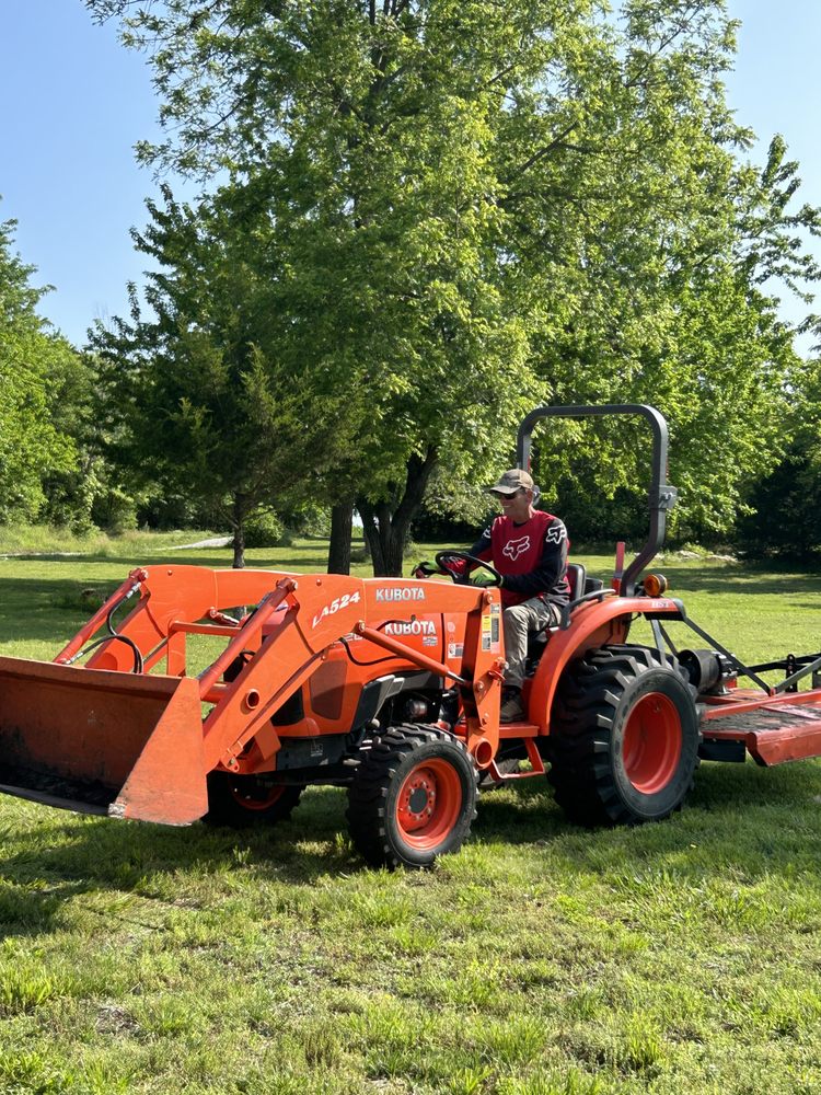 Lizard Lawn & Tree Care - tree service in Walnut Grove, MO