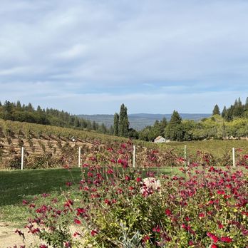 Lava Cap Winery - Beautiful view - Wineries Near Me - Placerville, California Lava Cap Winery - Beautiful view - Wineries Near Me - Placerville, California