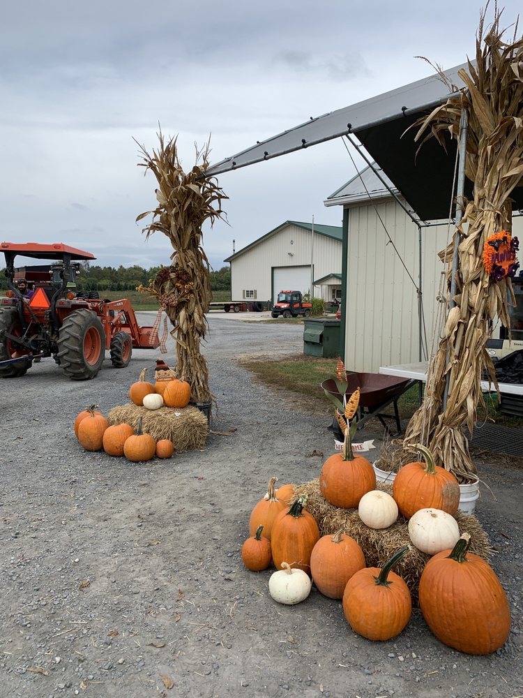 MAYNE’S TREE FARM 37 Reviews & 29 Photos 3420 Buckeystown Pike