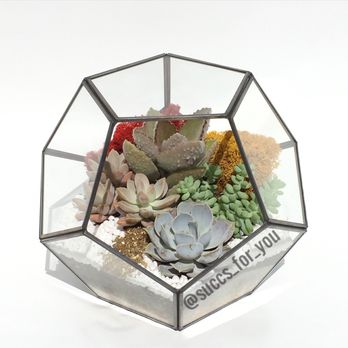 Succs For You - Giant Geometric Terrarium www.succsforyoumiami.com - Home & Garden Near Me - Miami, Florida Succs For You - Giant Geometric Terrarium www.succsforyoumiami.com - Home & Garden Near Me - Miami, Florida