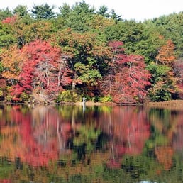 Houghton's Pond