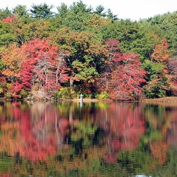 Houghton's Pond Recreation Area - Houghton's Pond - Parks Near Me - Milton, Massachusetts