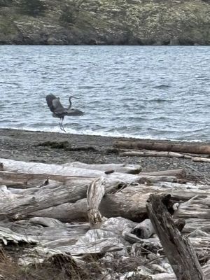 Spencer Spit State Park by null