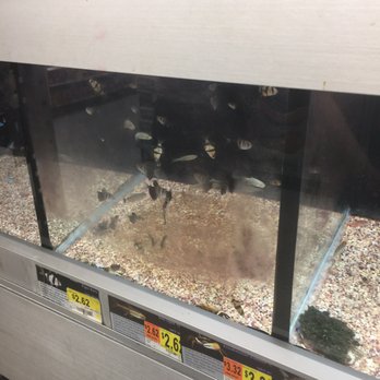 Walmart - Department Stores Near Me - San Diego, California Walmart - Department Stores Near Me - San Diego, California
