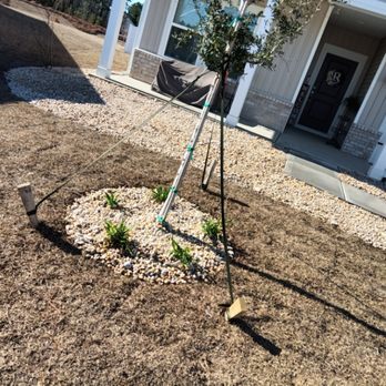 Year Round Lawn & Landscape - Lawn Services Near Me - Longs, South Carolina Year Round Lawn & Landscape - Lawn Services Near Me - Longs, South Carolina