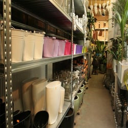 Plantenmarkt-amsterdam13.jpg