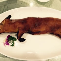 陶源酒家