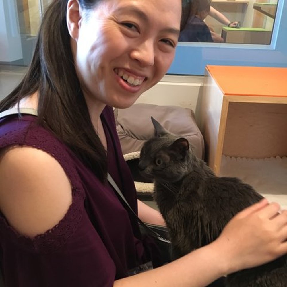 Cat Town - This lil guy is probably adoptes but was soo cuddly!! - Animal Shelters Near Me - Oakland, California Cat Town - This lil guy is probably adoptes but was soo cuddly!! - Animal Shelters Near Me - Oakland, California