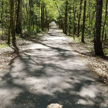 Black Creek Park and Trail - Hiking Near Me - Fleming Island, Florida