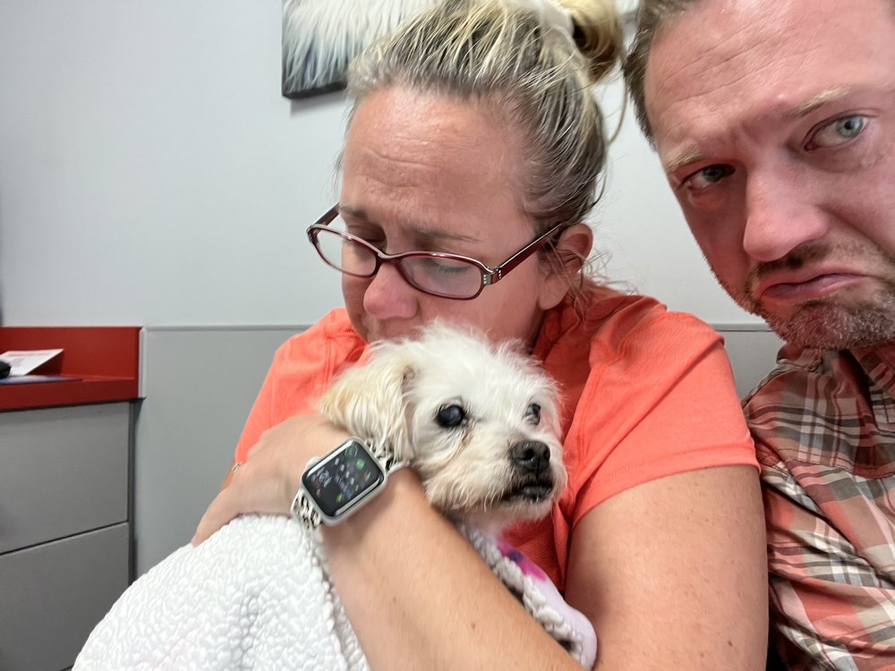 PIKESVILLE ANIMAL HOSPITAL Updated May 2024 17 Photos & 36 Reviews 1496 Reisterstown Rd