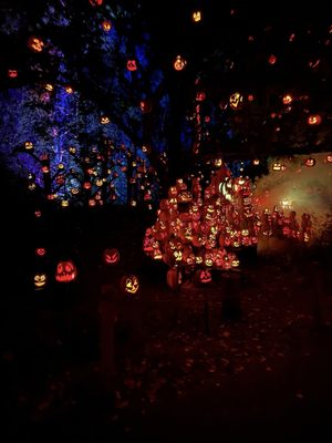 Minnesota Zoo by null