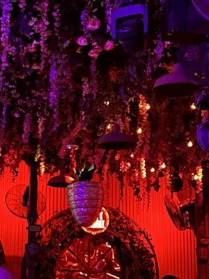 The Dirty Rabbit Wynwood by null