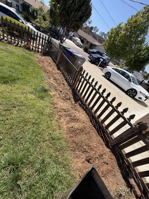 Semper Stump Grinding on Yelp