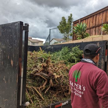 Wilmer’s Tree Service - Haul away included - Tree Services Near Me Wilmer’s Tree Service - Haul away included - Tree Services Near Me