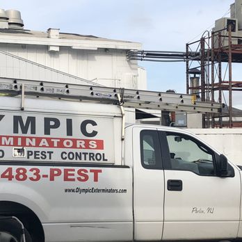 Olympic Pest Service - Pest Control Near Me - Parlin, New Jersey