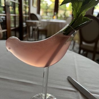 Cafe Monarch - Bird of paradise mocktail - New American Near Me - Scottsdale, Arizona