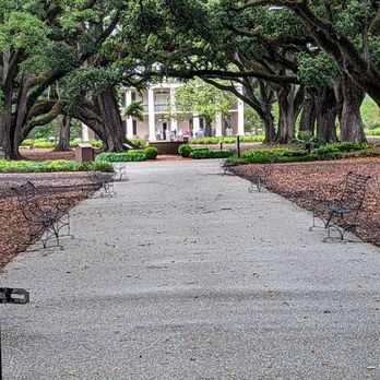 N'awlins Luxury Tours - Tours Near Me N'awlins Luxury Tours - Tours Near Me