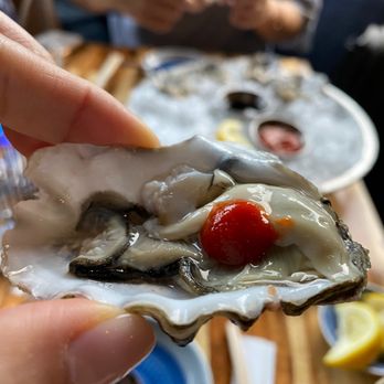 Tsunami Panhandle - Oysters - Sushi Bars Near Me - San Francisco, California Tsunami Panhandle - Oysters - Sushi Bars Near Me - San Francisco, California