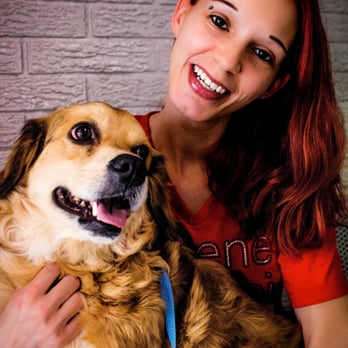 Abilene Veterinary Clinic - Pet Groomers Near Me - Abilene, Texas Abilene Veterinary Clinic - Pet Groomers Near Me - Abilene, Texas