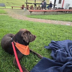 Thistlethwaite Vineyards - Outdoor seating
