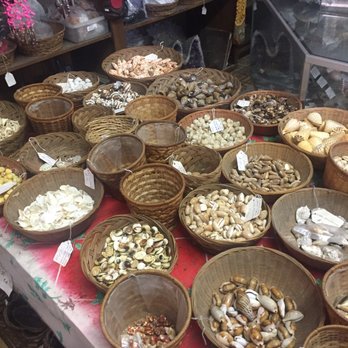 Bibbey's Shells & Rocks - Shells - Gift Shops Near Me - Imperial Beach, California Bibbey's Shells & Rocks - Shells - Gift Shops Near Me - Imperial Beach, California