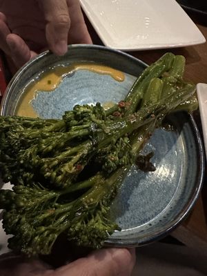 Modern Ocean by null