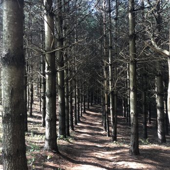 Raccoon Holler Campground - Campgrounds Near Me - Jefferson, North Carolina