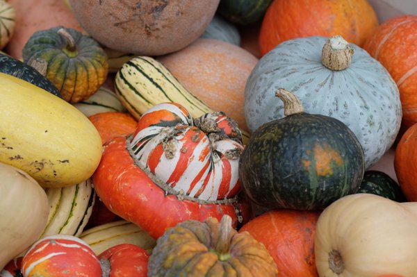 Tonnemaker Valley Farm & Woodinville Farm Stand by null