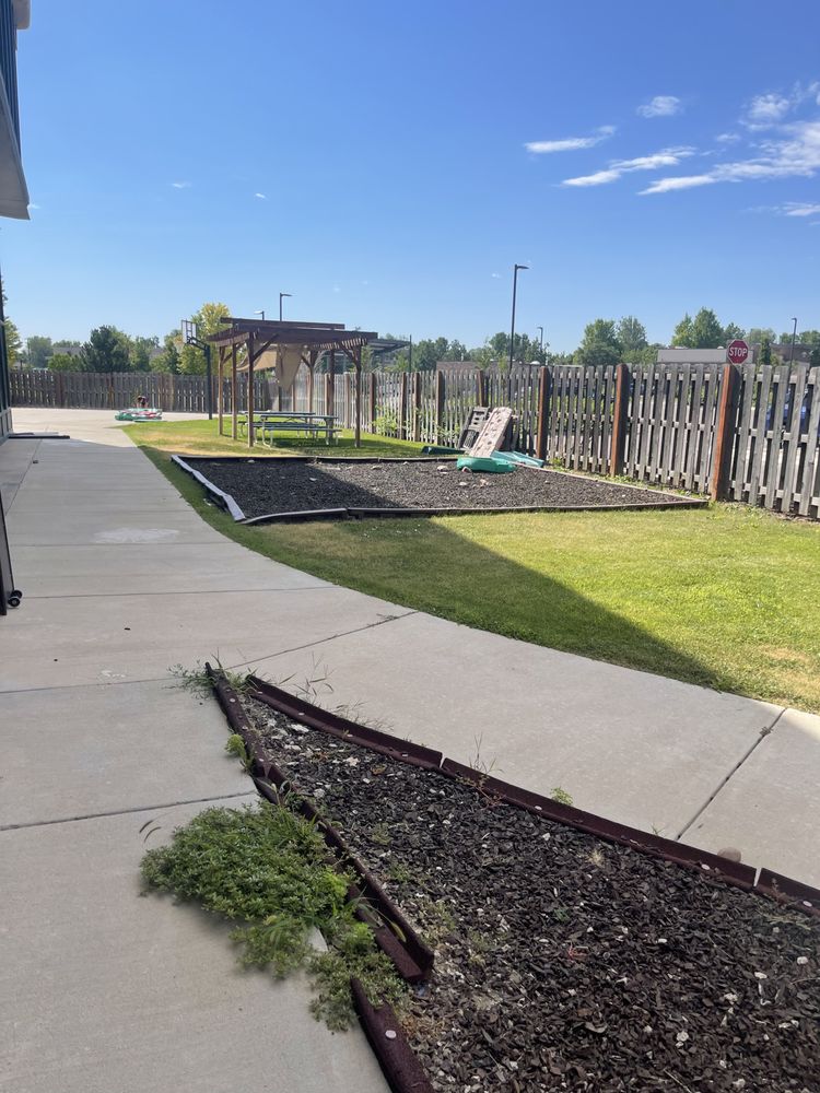 The Lions Academy - childcare center in Denver, CO