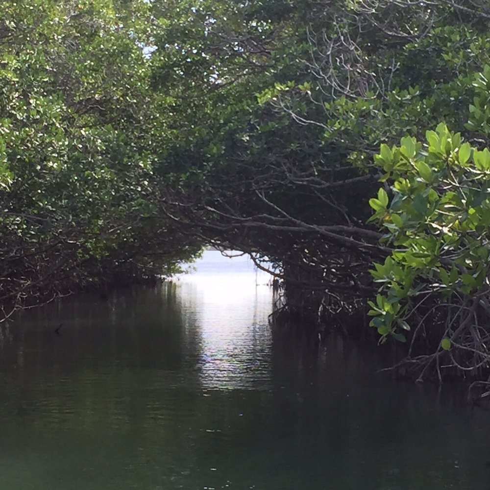 Captain Sterling's Boat Tours - The Cathedral - Boat Tours Near Me - Key Largo, Florida