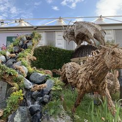 The Chelsea Flower Show
